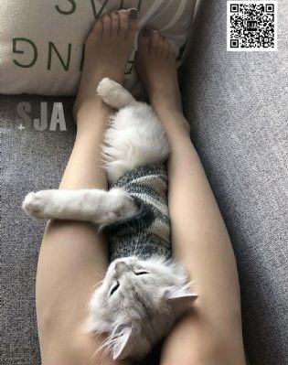国产一级淫语对白人妻网_蓝光全集在线观看